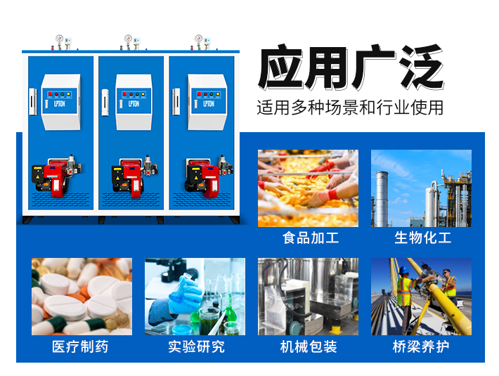 600公斤多聯(lián)機(jī)燃?xì)庹羝l(fā)生器